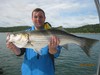 (09/10/2016) - Nice Striped Bass